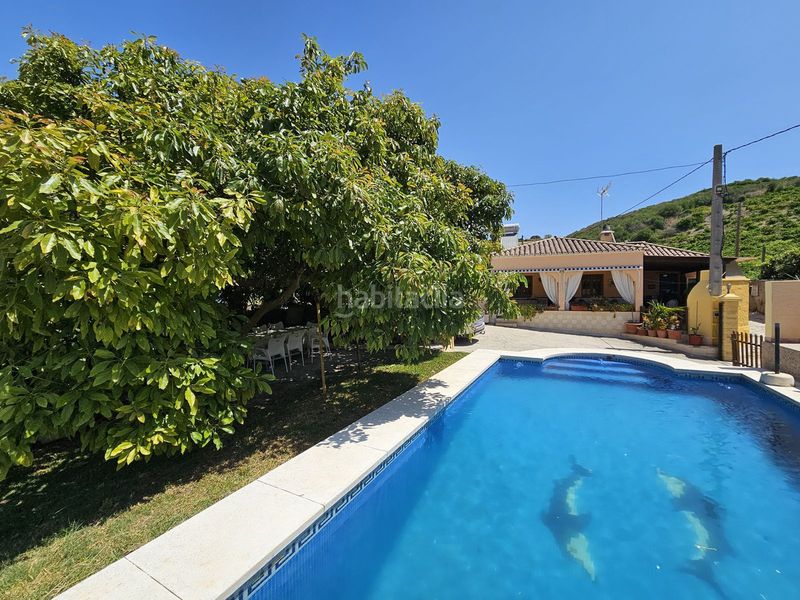 Foto d313654d-4a51-4d02-a95c-4227957cbb0b. Pis a Rojales