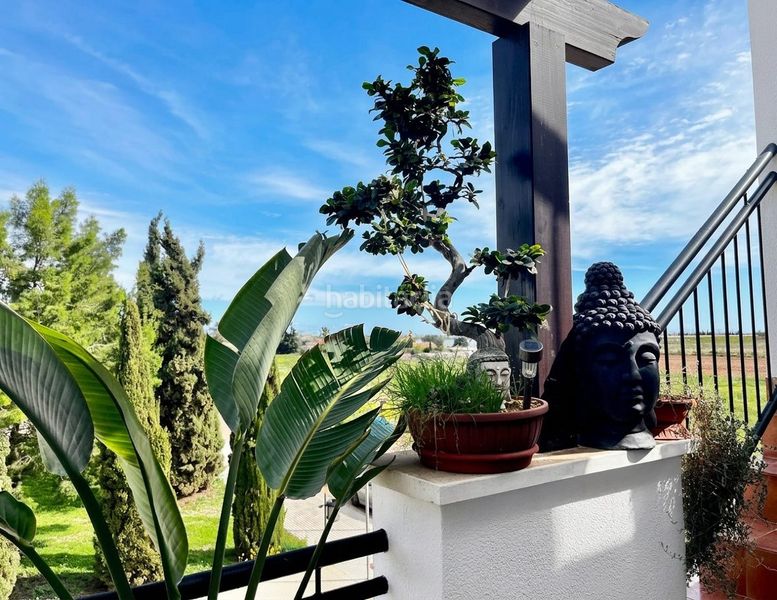 Foto 8a601d17-b299-48a7-a71a-09a9aca52cc8. Apartament amb piscina a Centro Alcázares (Los)