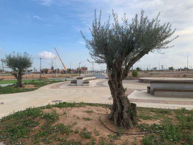 Foto 42107d2e-d7e7-4b77-a144-2e519602f57b. Casa amb piscina a Torre-Pacheco Torre - Pacheco