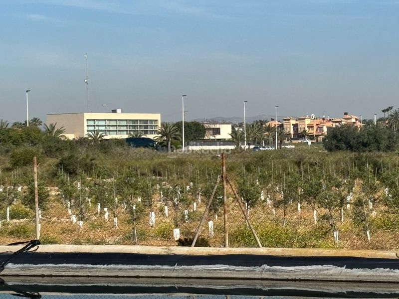 Foto 054a7bcb-dee1-459c-adb2-525cb60a4385. Casa a Valverde Elche / Elx