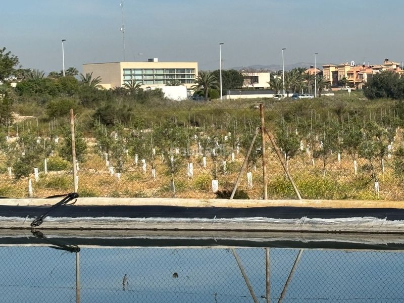 Foto 2555a585-7fd3-478d-9de6-64bc963d8ffe. Casa a Valverde Elche / Elx