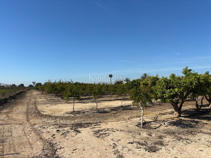 Foto 46b54046-ddad-49b1-86d6-333da327fafb. Casa a Valverde Elche / Elx