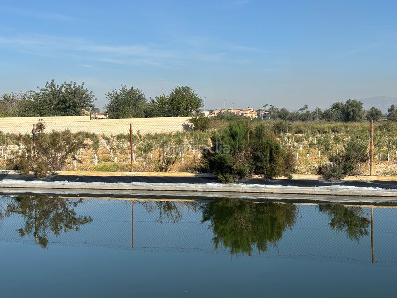 Foto ab5da249-5de6-4da8-b256-8bd9de52df18. Casa a Valverde Elche / Elx