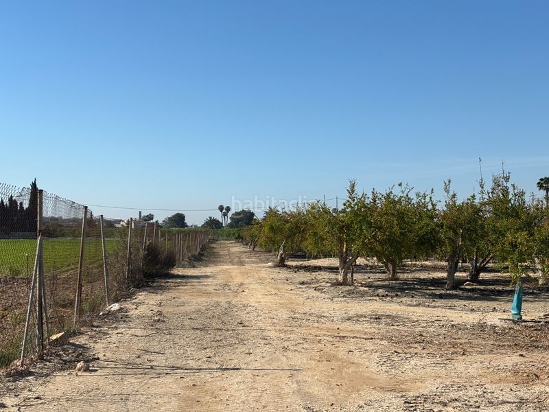 Foto ad986805-32b4-48ef-9b6f-30f03eab934b. Casa a Valverde Elche / Elx