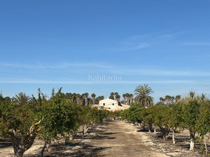 Foto ce31a34f-5308-453e-8d56-a88a2a5fce97. Casa a Valverde Elche / Elx