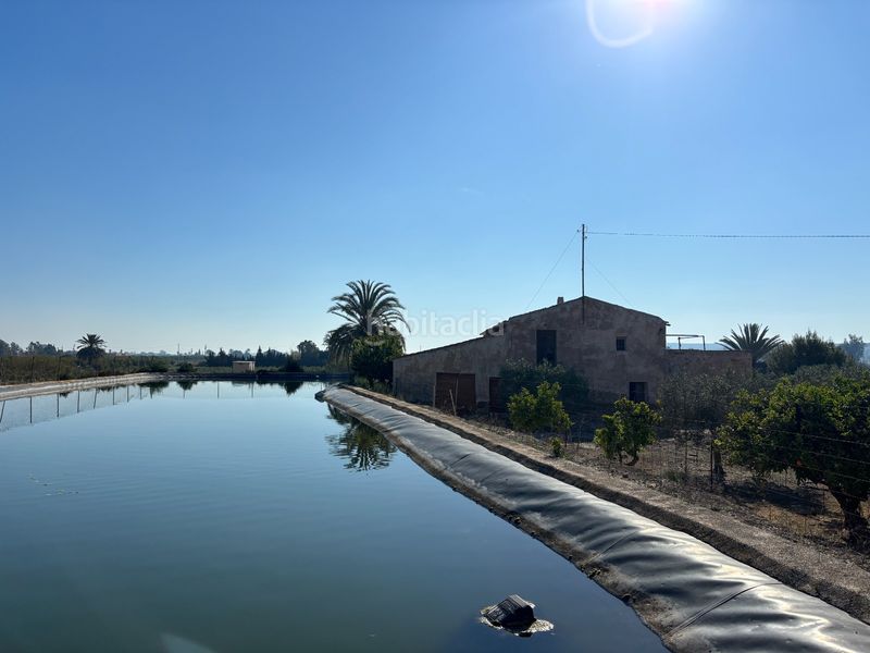 Foto e949c98d-3fd0-48bf-9204-49db9d2a66b5. Casa a Valverde Elche / Elx