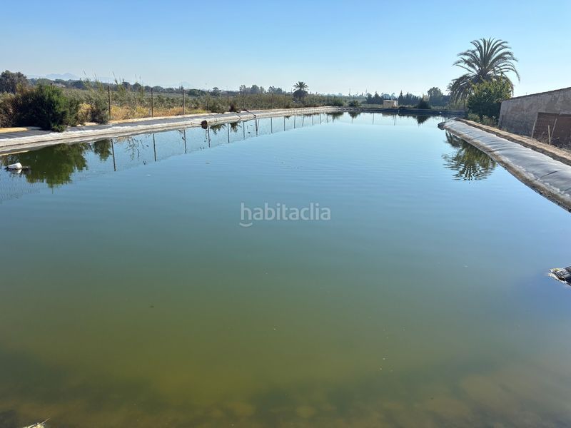 Foto f5435407-afb7-4dcb-acb4-99b5a1dace0c. Casa a Valverde Elche / Elx