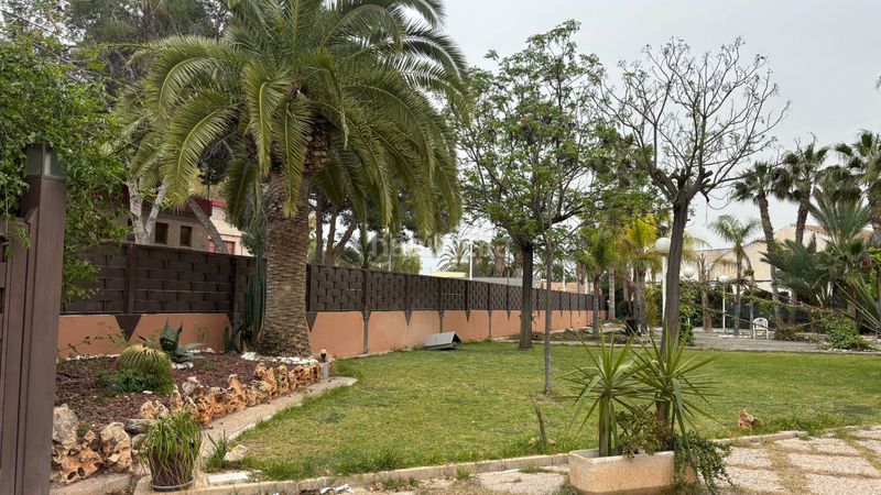 Foto 14a82397-7e27-4969-a2f6-af7bf55e9a07. Xalet amb aparcament piscina a La Algoda - Matola - Llano de San José Elche / Elx