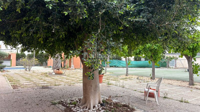 Foto d24ad616-d6e7-4886-b16b-59b2296a551d. Xalet amb aparcament piscina a La Algoda - Matola - Llano de San José Elche / Elx