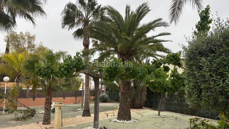 Foto e626bce2-ca59-4260-85cb-d24f2b6897a7. Xalet amb aparcament piscina a La Algoda - Matola - Llano de San José Elche / Elx