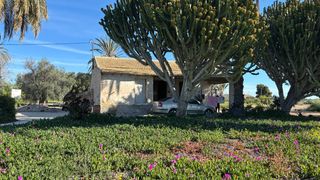 Xalet en Las Bayas. Casa de campo tradicional en venta a 3 minutos de elche (alicant