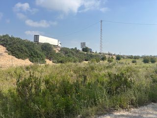 Finca r�stica en La Marina. Parcela en venta en la marina (elche � alicante)