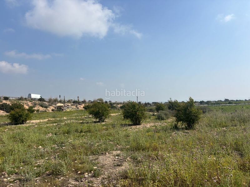 Foto 040a5ca4-ebd3-408a-a45a-4932bd658a09. Finca rústica a La Marina Elche / Elx
