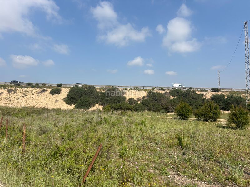 Foto 0e921acd-52a5-4028-b6d0-12908093817d. Finca rústica a La Marina Elche / Elx