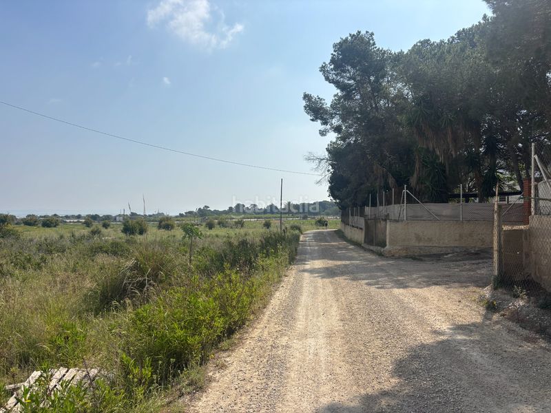 Foto 38b7e0ed-878d-4b99-93a0-9d8be593b3a1. Finca rústica a La Marina Elche / Elx