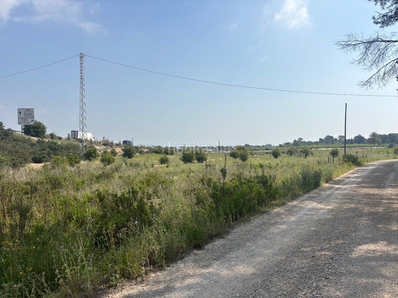 Foto 4e3e29b3-314a-4128-b99f-a8ceb7cac98c. Finca rústica a La Marina Elche / Elx