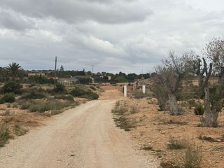 Finca rústica a Jubalcoi. Parcela de 9.700 m² en partida de saladas – altabix, elche
