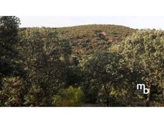 Finca r�stica  Calle romero. Terreno en el casar guadalajara