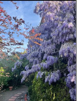 Foto c2dd7ed1-5222-4341-a997-1fe0e5c2a2a7. Casa amb calefacció piscina a Vallvidrera - Tibidabo - Les Planes Barcelona