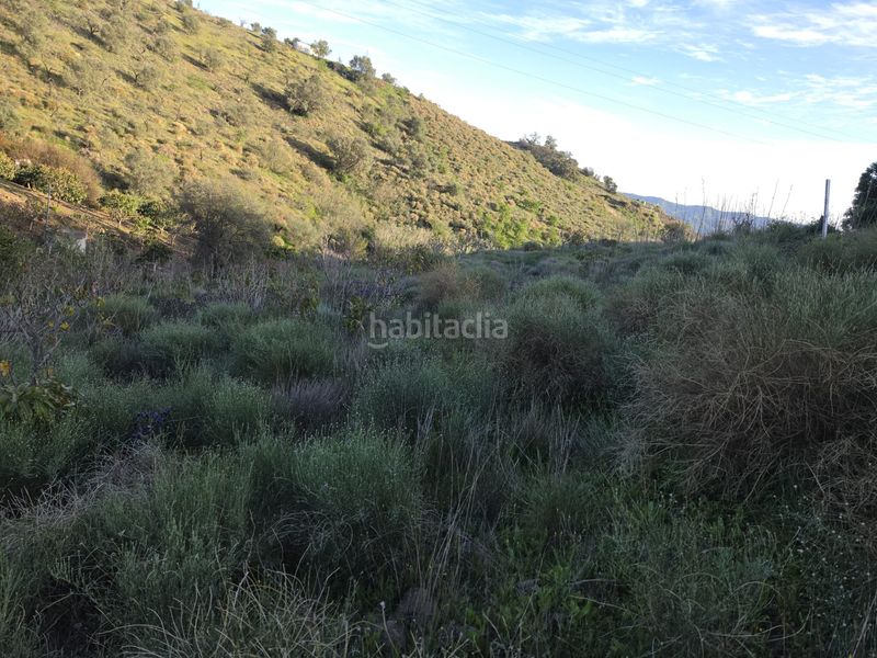 Foto 2f514893-a2cb-42ec-b90c-25a9aa4e7502. Finca rústica a calle arroyo 15 a Norte - Barrio del Pilar - El Reñidero Vélez - Málaga