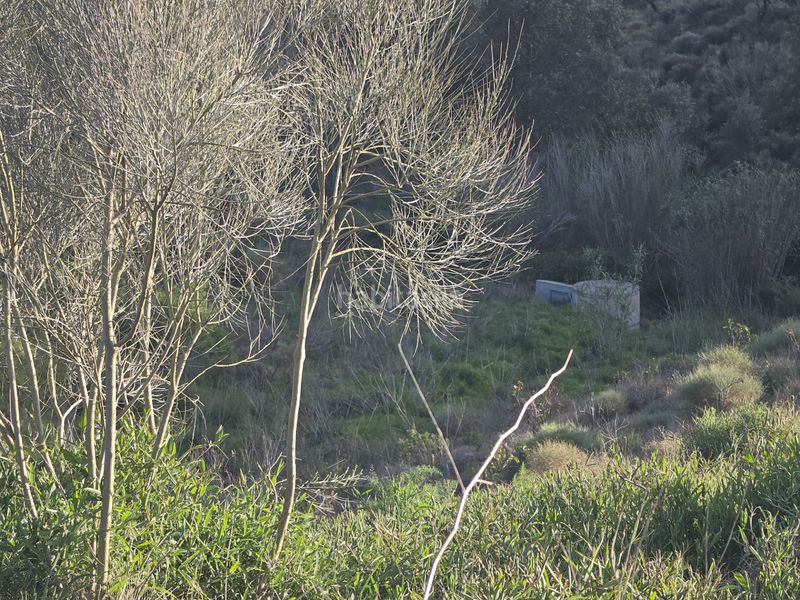 Foto 70b97f80-7980-477c-bd00-f356f233f606. Finca rústica a calle arroyo 15 a Norte - Barrio del Pilar - El Reñidero Vélez - Málaga