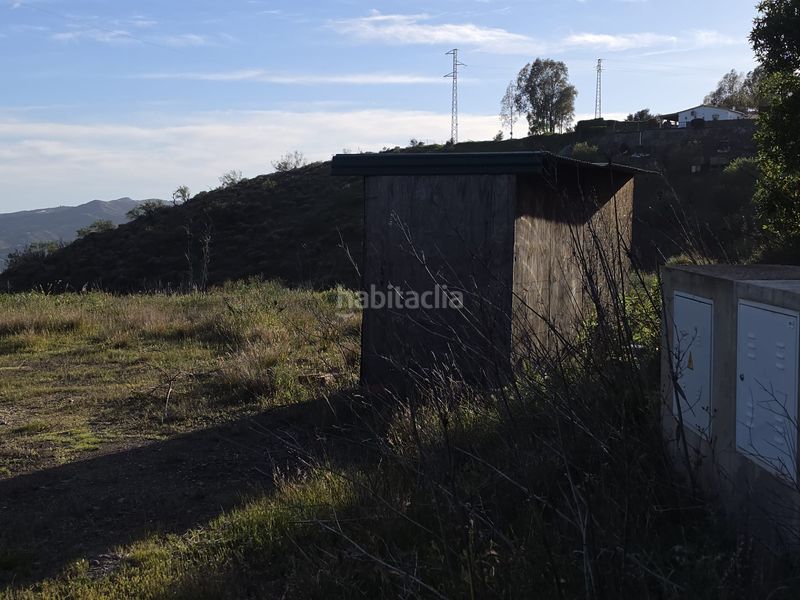 Foto 72959a74-a858-44d1-b0a0-a1031fc859ce. Finca rústica a calle arroyo 15 a Norte - Barrio del Pilar - El Reñidero Vélez - Málaga