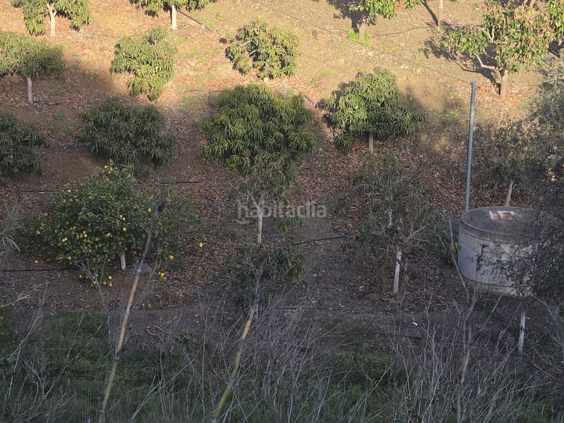 Foto dc30a8be-40d5-4756-97de-c763ee8f0c3b. Finca rústica a calle arroyo 15 a Norte - Barrio del Pilar - El Reñidero Vélez - Málaga