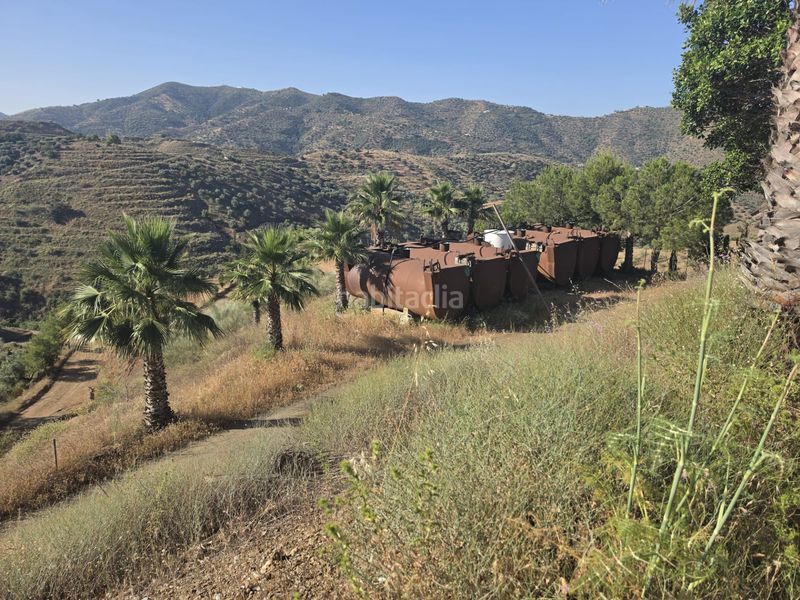 Foto 27b735ac-31a8-4b5e-8ae0-20b0dd9bb98b. Finca rústica a Centro Histórico Vélez - Málaga