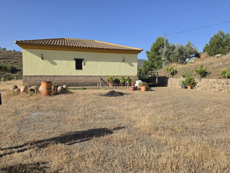 Foto 2ec8e30b-3e81-4da1-8200-b9c75bd7b47c. Finca rústica a Centro Histórico Vélez - Málaga