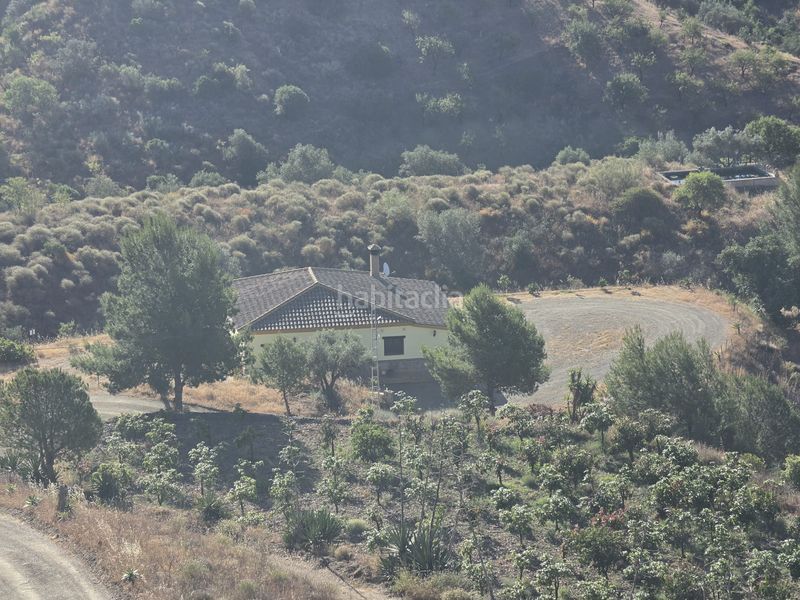 Foto b39b8e9c-1e5f-49a7-a3b5-fe9c64f939c9. Finca rústica a Centro Histórico Vélez - Málaga