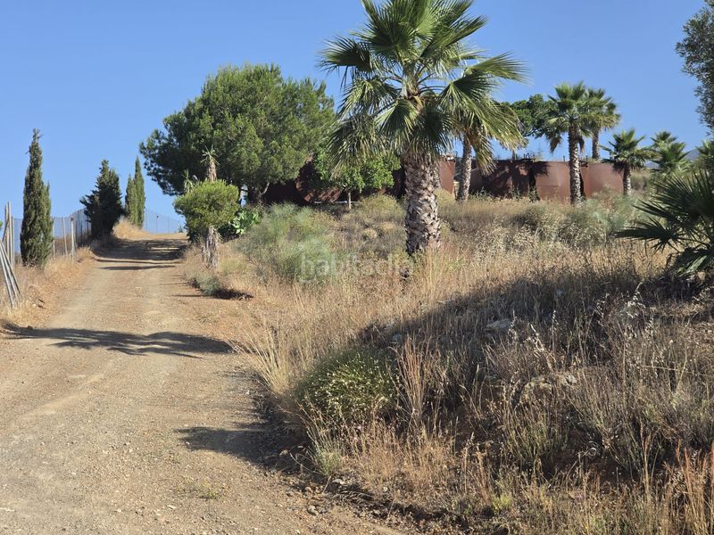 Foto d404e3d3-9024-4d8a-b1ac-9cb840470d25. Finca rústica a Centro Histórico Vélez - Málaga