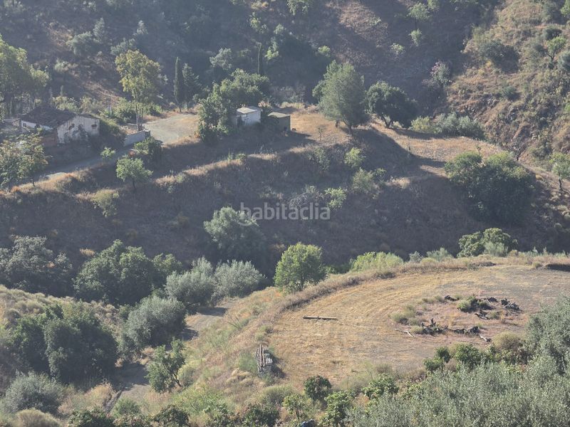 Foto f1e9d6b5-0cd9-4286-a0c5-b5416db58494. Finca rústica a Centro Histórico Vélez - Málaga