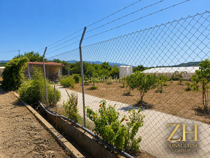 Foto 7a315938-78f9-485b-9f82-76282b576d50. Finca rústica a calle benamocarra 5 a Almáchar