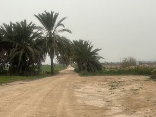 Terreno residenziale  San felipe neri