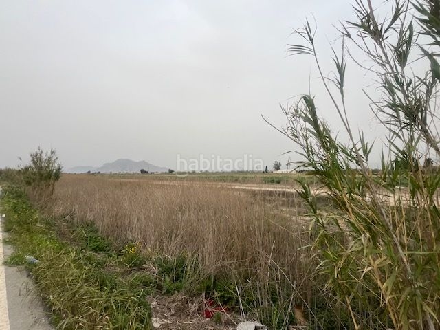 Foto 87fd3182-f1e5-4ad1-9106-14fdacaae857. Terreno residenziale in Almoradí