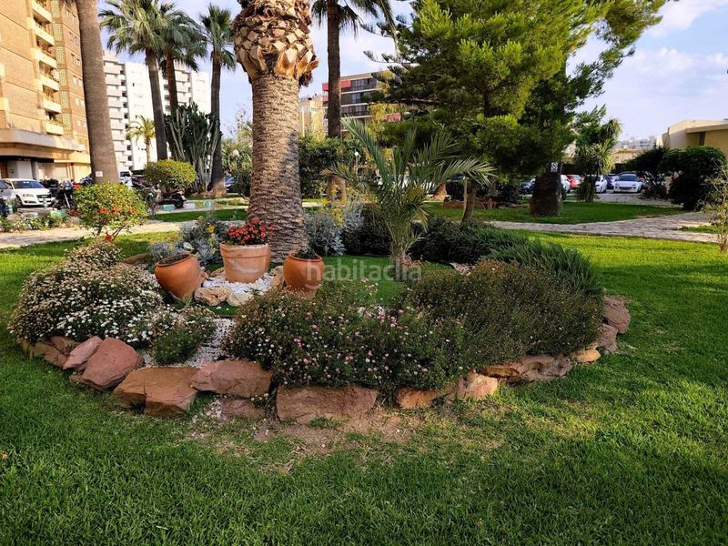 Foto 1869e731-b3b0-4ccd-89bd-2f5fa1c7c038. Apartament amb piscina a Cabo de las Huertas Alicante