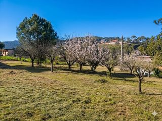 Fondo rustico in Torrelles de Llobregat