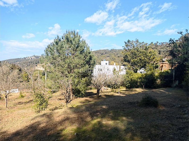 Foto 4d178210-0ed1-418b-a056-2915d1f4fa28. Finca rústica a Torrelles de Llobregat