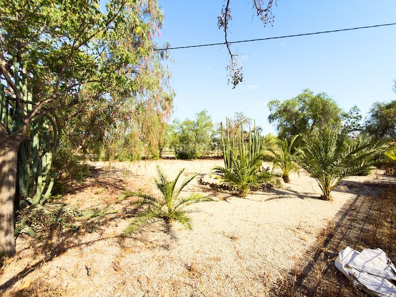 Foto a3140d34-899b-4e6c-aee4-6041e17ee906. Masia amb calefacció piscina a Pedanías Este Aspe