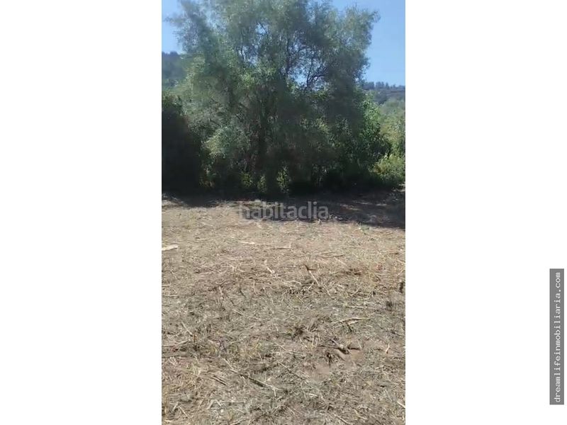 Foto 1348817b-95c6-4cf9-84a1-34b819fd03f9. Terreny residencial a Borriol