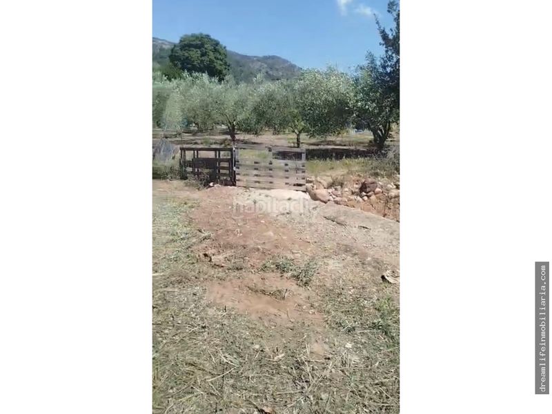 Foto 40c472a5-0461-4ba4-baf7-17eb29c68977. Terreny residencial a Borriol