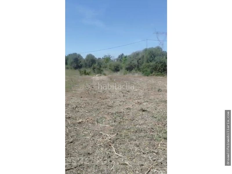 Foto e381d3b9-b870-4904-a668-a46be704ab45. Terreny residencial a Borriol