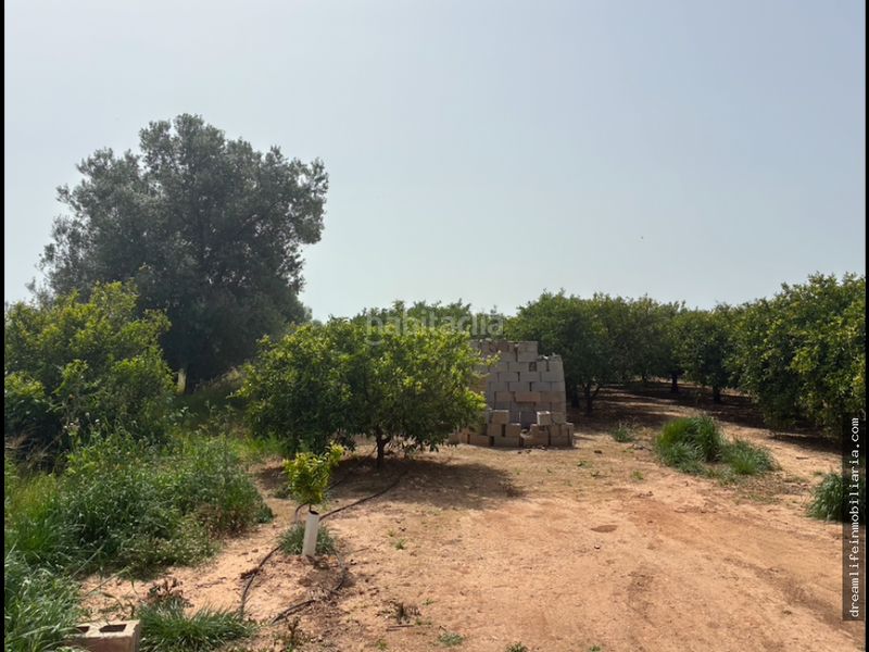 Foto 2b944412-ef44-4fdc-abfd-bf2bdb15c26a. Terreny residencial a Playa-Ben Afeli Almazora / Almassora