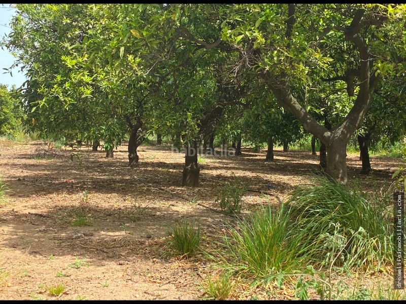 Foto 2d56754e-f820-4ba1-8eae-cdee67e8528c. Terreny residencial a Playa-Ben Afeli Almazora / Almassora