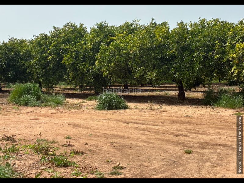 Foto 5781c00e-93f9-4592-8f20-c80312d355dd. Terreny residencial a Playa-Ben Afeli Almazora / Almassora