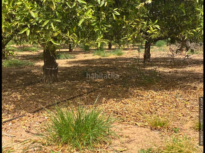 Foto 6aa5ef80-632e-404a-8b44-3c46638e6623. Terreny residencial a Playa-Ben Afeli Almazora / Almassora