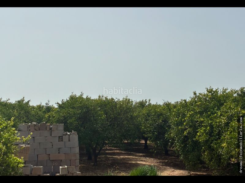 Foto 7a992650-76c2-400a-bf90-42be46e629b7. Terreny residencial a Playa-Ben Afeli Almazora / Almassora