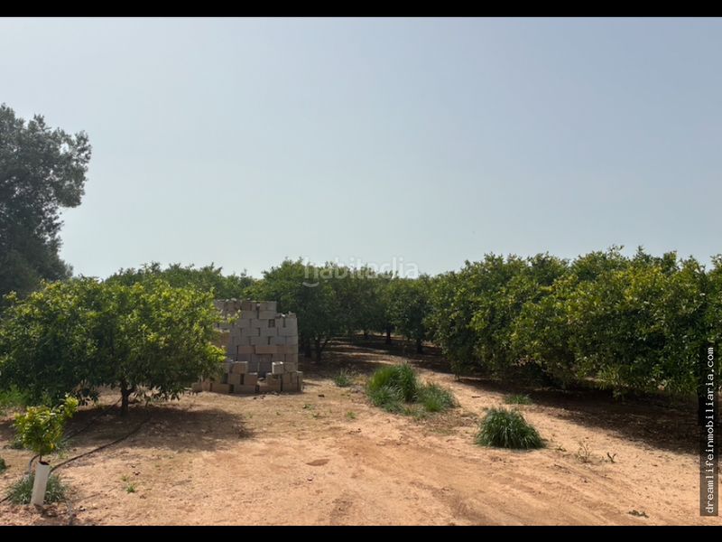 Foto 7ea7f252-7556-4d3e-aba2-88841bff565c. Terreny residencial a Playa-Ben Afeli Almazora / Almassora