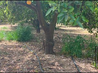 Terreno residencial en Playa-Ben Afeli