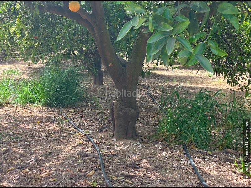 Foto af2645ef-de43-429c-89f0-8cb9abeeb1d3. Terreny residencial a Playa-Ben Afeli Almazora / Almassora